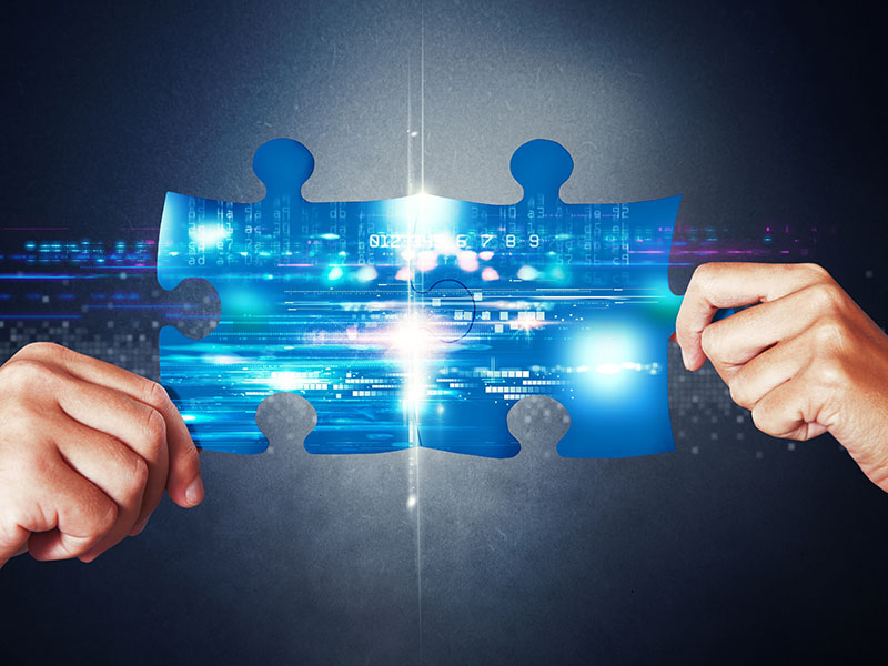 Software-integrator