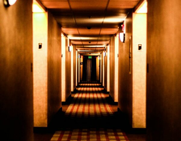 29803_479_medium