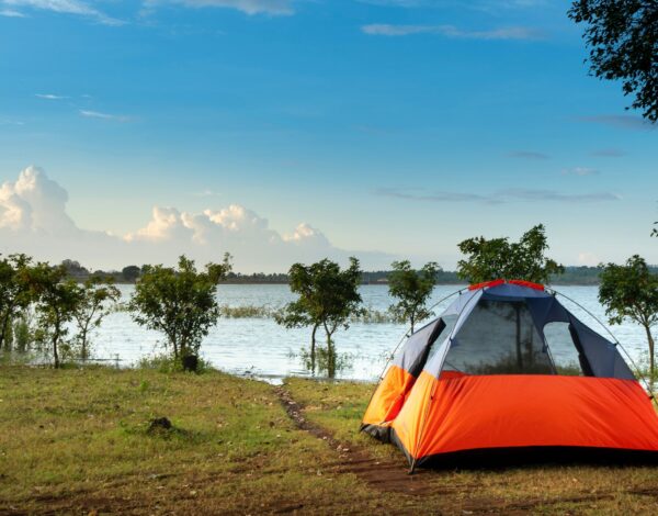 Camping strategie revenue