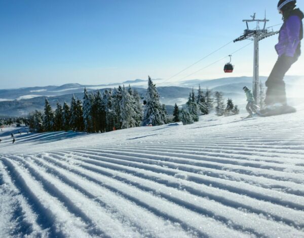 assicurazione sulle piste